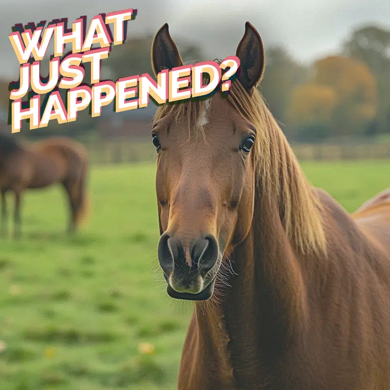 Horsegate