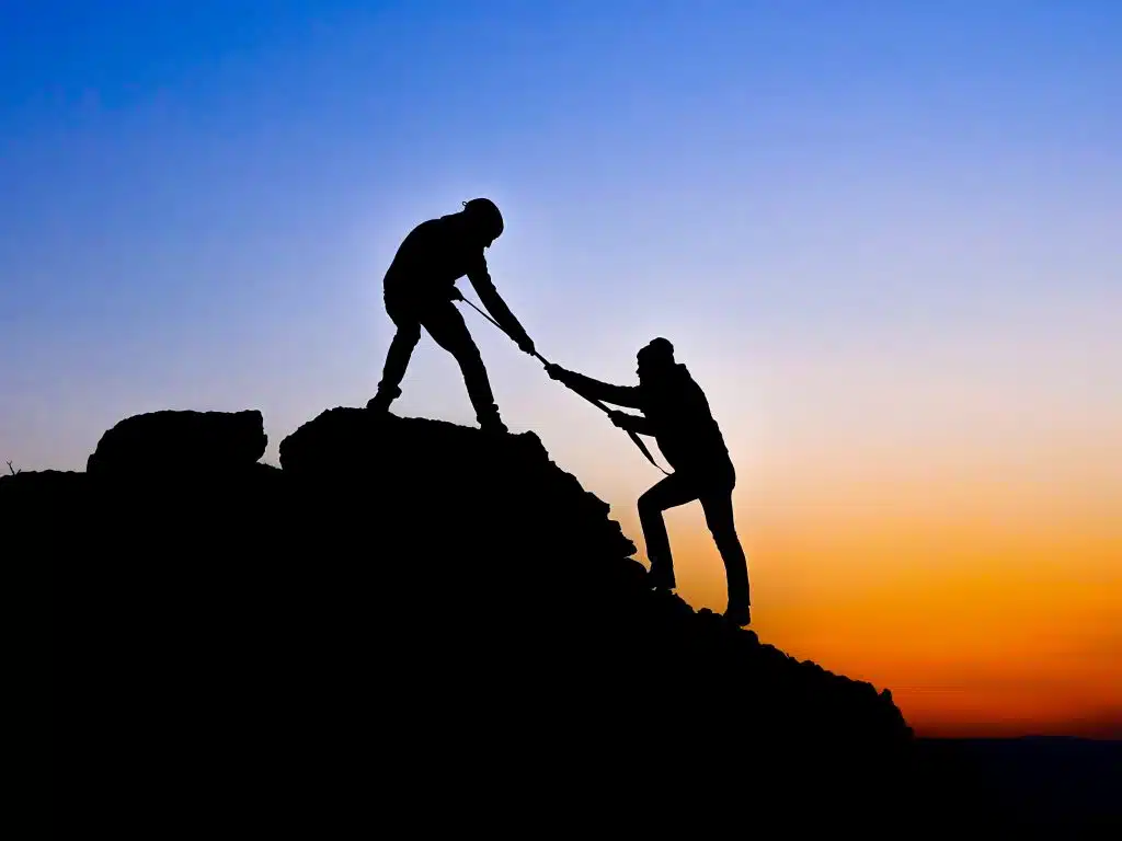 What does trust mean for your organisation?